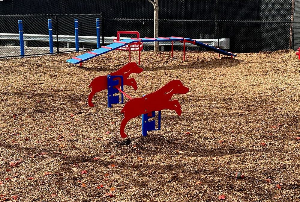 Welcome to Liberty Square at Wesmont Station – Where Dogs are People Too!